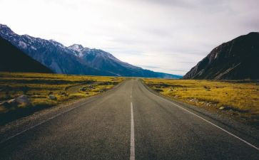 观看《路》心得体会优秀7篇