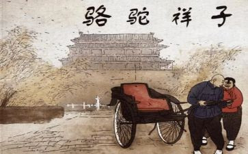 骑骆驼的作文优秀6篇