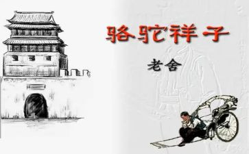 骆驼读后感1000字8篇