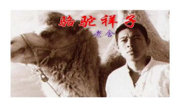 骆驼作文优秀5篇