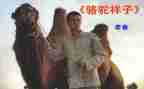 骆驼作文600字7篇