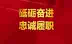 教师年度履职考核个人总结6篇