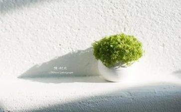 慢的可贵作文7篇