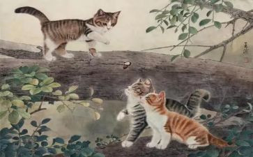 猫的素材,作文优质5篇