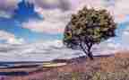 身边的小美好作文5篇