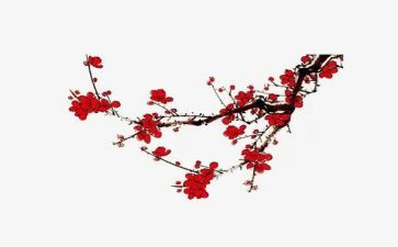 观梅花的作文推荐8篇