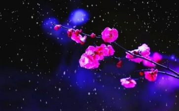 观梅花的作文8篇