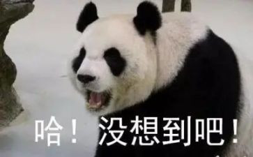 没想到我如此幸福作文6篇