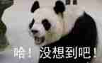 我真没想到作文优质8篇
