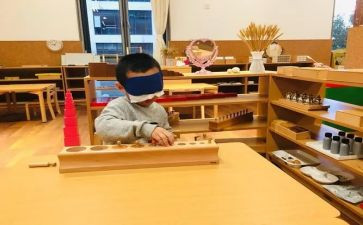 蒙氏幼儿园学期个人总结参考6篇