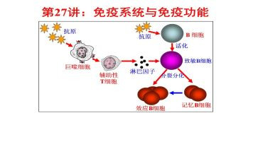 计划免疫年度工作总结6篇