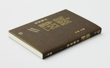 见明星作文7篇