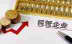 民营企业双对标工作总结7篇
