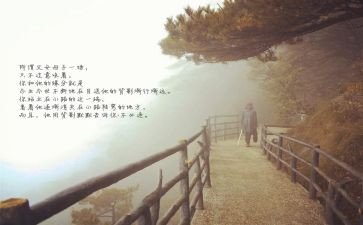 龙应台的目送的读后感6篇