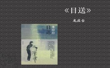 目送作文700字6篇