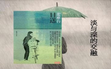 目送心得体会1000字8篇