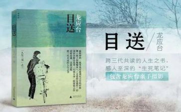 《目送》读书心得体会8篇