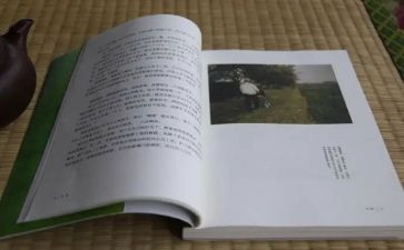 读龙应台《目送》读后感5篇