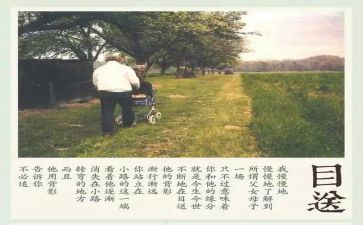 目送读书心得体会5篇