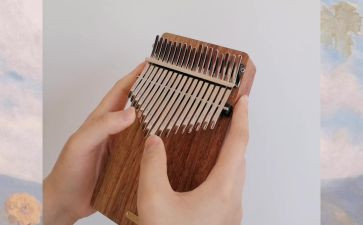 学拇指琴作文5篇