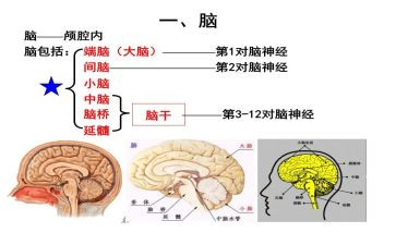 电脑前工作总结5篇