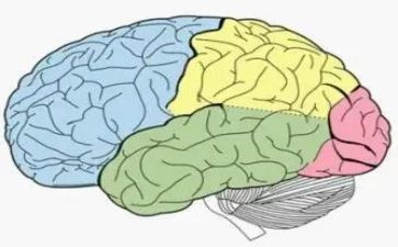 我和电脑作文5篇