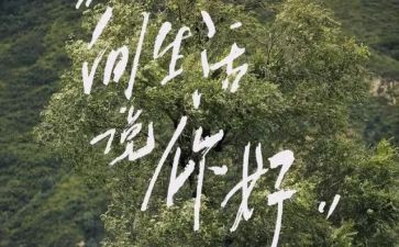 你好,老兵心得体会6篇