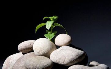 逆境与成长作文参考7篇