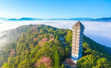 宁洱烧烤节活动策划参考5篇