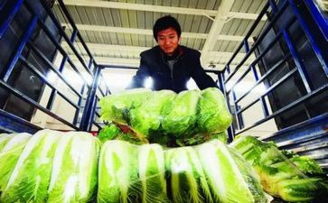 农产品质量安全工作总结8篇
