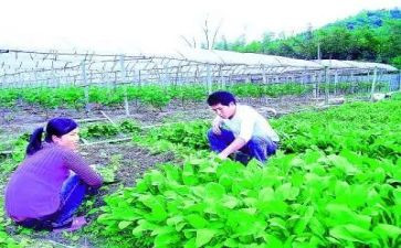 农技人员培训心得6篇