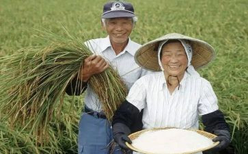 农民的事迹6篇
