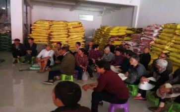 农民会活动总结6篇
