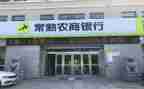 2024年农商行述职报告6篇