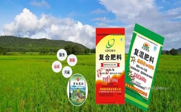 农资月总结6篇