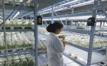 教师双培养工作计划模板8篇
