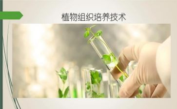 培养黑仔的读后感8篇