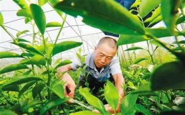 培育站工作总结7篇