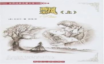 《飘》心得体会300字参考7篇