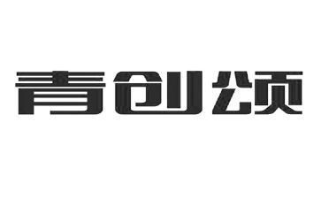 青创协会工作总结范文8篇