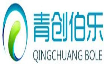 青创协会工作总结报告6篇