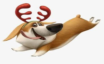 读双面猎犬读后感6篇