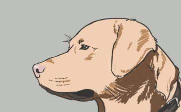 猎犬读后感参考6篇