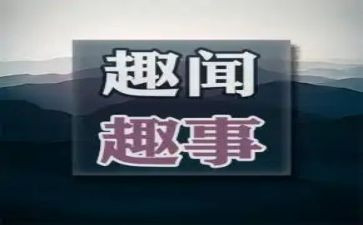 写国庆趣事作文四年级作文7篇
