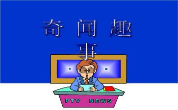 暑假趣事的作文5篇