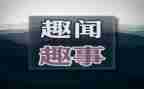 写国庆趣事作文四年级作文7篇