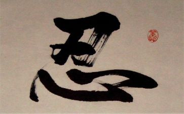忍与争作文800字精选5篇