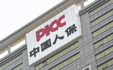 个人保育述职报告6篇