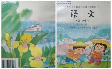 小班个人教学总结6篇