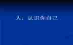 秒的认识教案与反思8篇